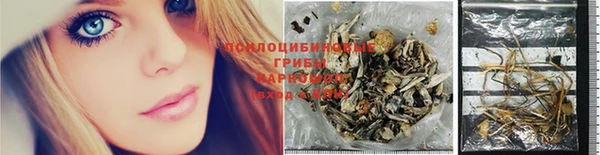 хмурый Зерноград