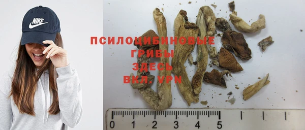 хмурый Зерноград